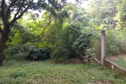 WhatsApp-Image-2023-08-18-at-10.59.27-AM-1-1