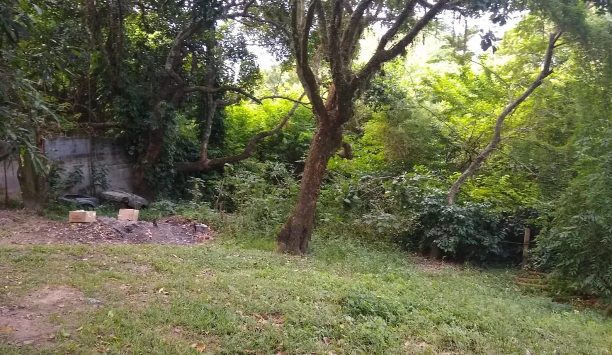 WhatsApp-Image-2023-08-18-at-10.59.28-AM-1