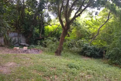 WhatsApp-Image-2023-08-18-at-10.59.28-AM-1