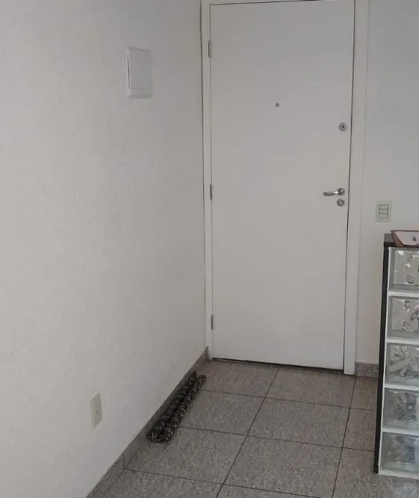 c261e91e-872d-4533-8674-6a0d34c43895