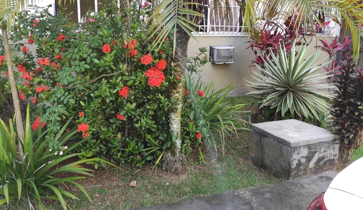 WhatsApp Image 2022-12-09 at 8.42.58 AM (3)