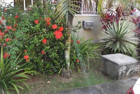 WhatsApp Image 2022-12-09 at 8.42.58 AM (3)