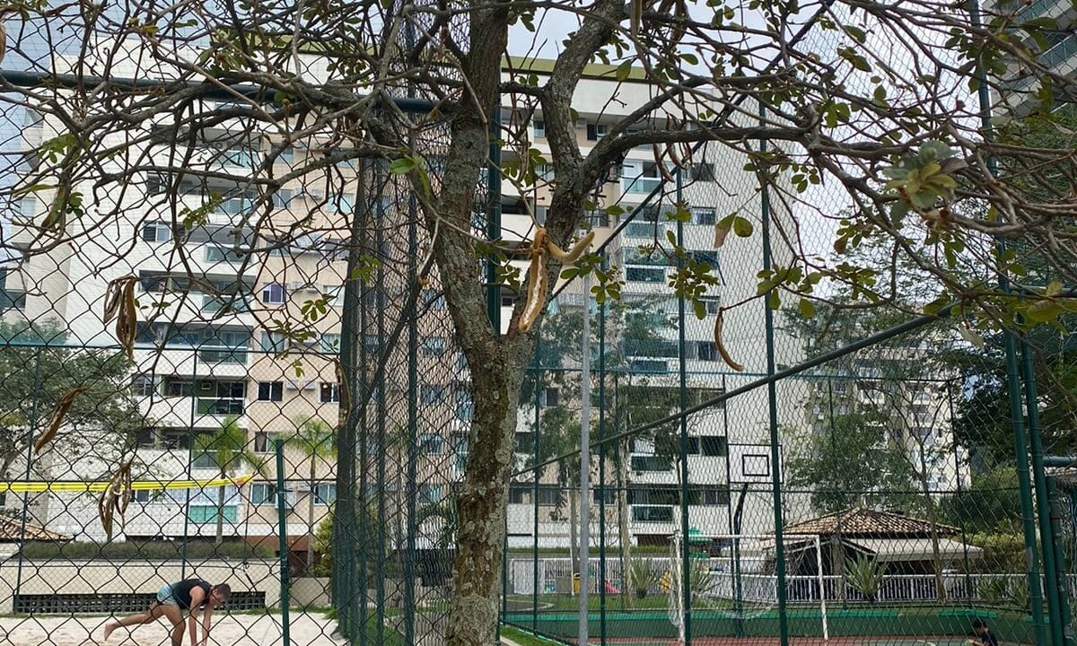 WhatsApp Image 2024-07-31 at 13.54.43 (4)