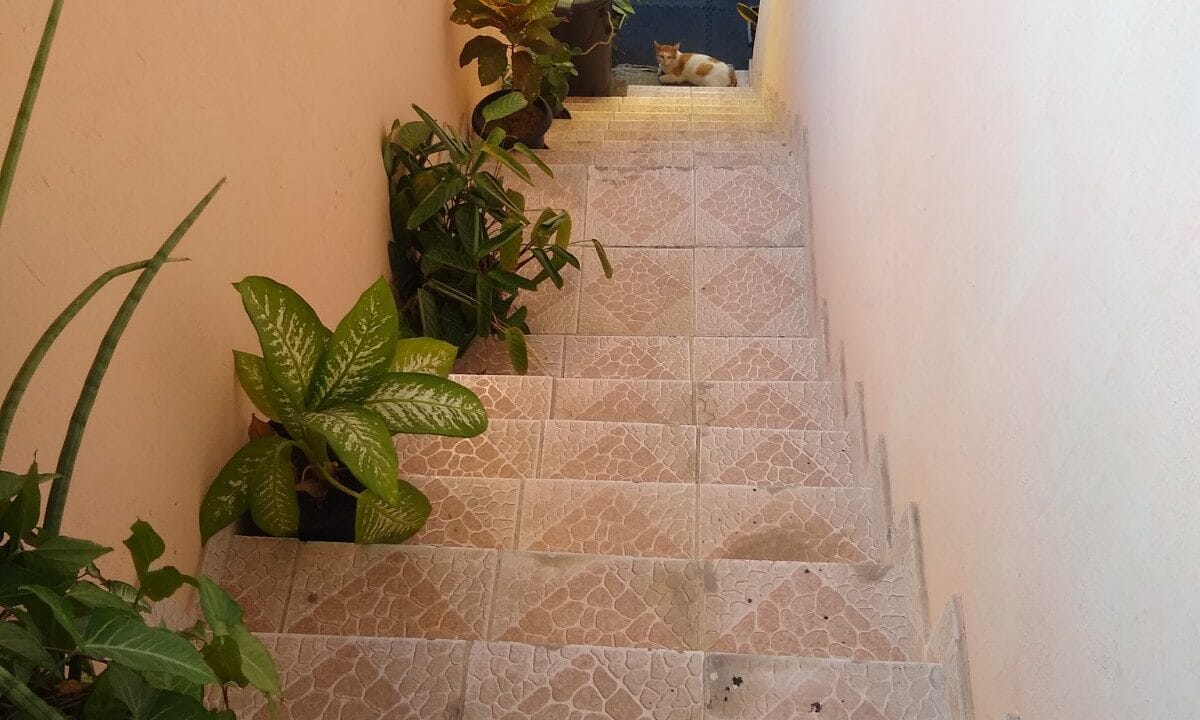 IMG_20220705_154846274