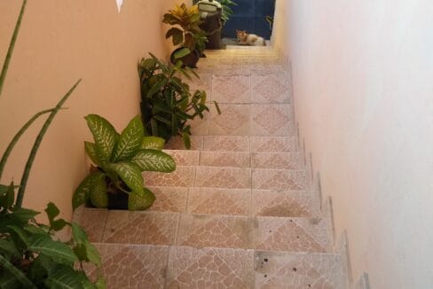 IMG_20220705_154846274