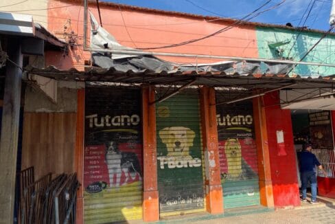 Imagem do WhatsApp de 2024-07-10 à(s) 14.45.23_770abbe0