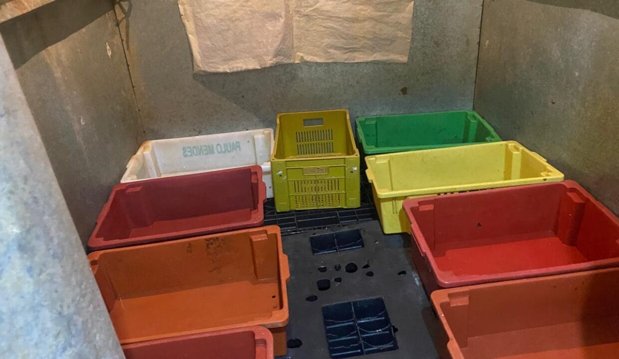 WhatsApp Image 2024-07-25 at 16.36.42 (1)