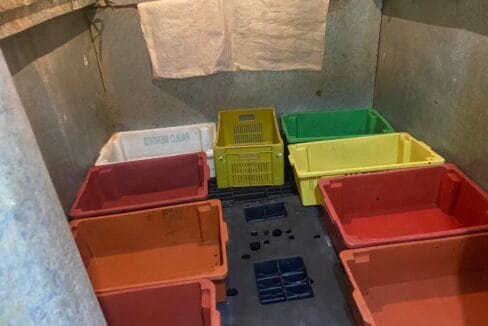 WhatsApp Image 2024-07-25 at 16.36.42 (1)